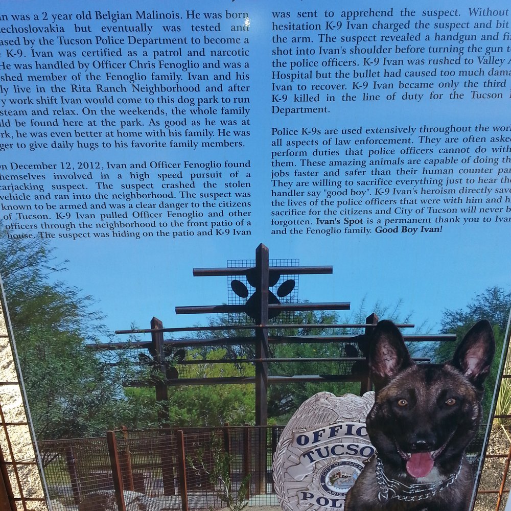 Purple Heart Park: Ivan's Spot - Dog Parks Near Me - Tucson, Arizona Purple Heart Park: Ivan's Spot - Dog Parks Near Me - Tucson, Arizona