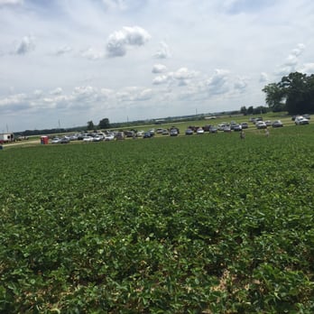Thompson Farm - Pumpkin Patches Near Me - Bristol, Wisconsin