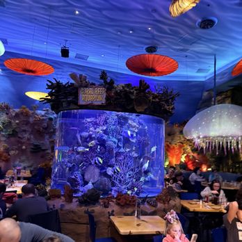 T-Rex Cafe - Sea decor - American Near Me - Lake Buena Vista, Florida