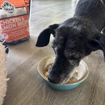 Anaheim Feed & Pet Supply - Pet Stores Near Me - Costa Mesa, California