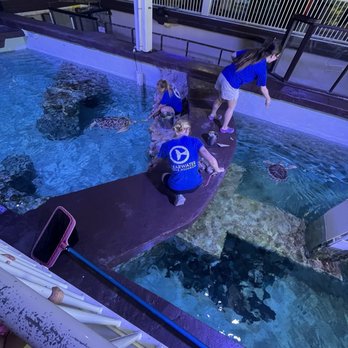 Clearwater Marine Aquarium - Aquariums Near Me - Clearwater, Florida