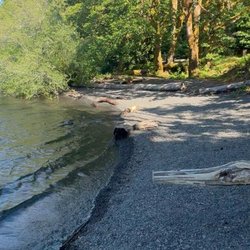 Lake Crescent - Rees's Roots - Lake Cresent Washington