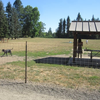 Memorial Dog Park - Memorial Dog Park, Wilsonville, OR - Dog Parks Near Me - Wilsonville, Oregon