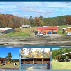 Casey & Son Horseshoeing