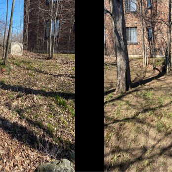 TT Yard Maintenace - Before and after-Leaf/debris removal. - Lawn Services Near Me TT Yard Maintenace - Before and after-Leaf/debris removal. - Lawn Services Near Me