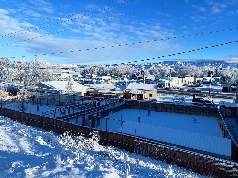 Dog Retreat Center - pet boarding facility in Boise, ID