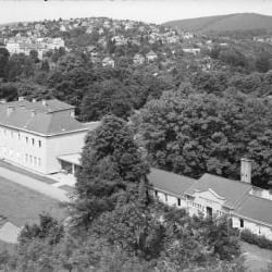 Paradies