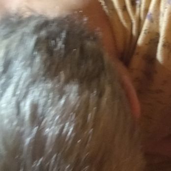 Newfie Style Haircutters - Hair Salons Near Me - Acton, Ontario Newfie Style Haircutters - Hair Salons Near Me - Acton, Ontario