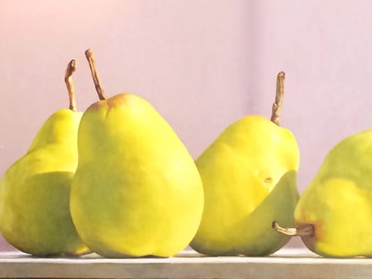 Millbrook Winery by null