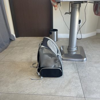 Atlas Pet Hospital - Veterinarians Near Me - Norco, California Atlas Pet Hospital - Veterinarians Near Me - Norco, California
