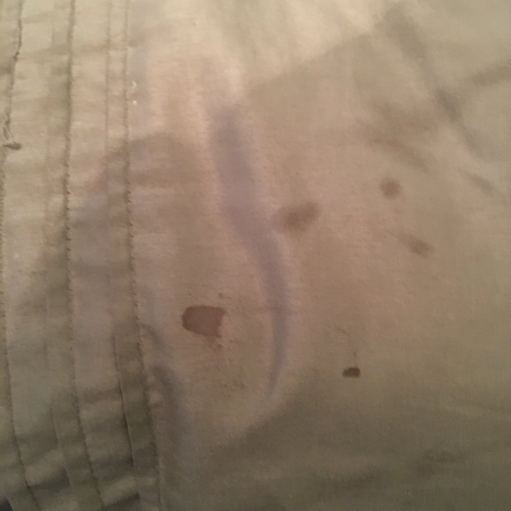 Cooper's Landing - More stains on bed cover - Hotels Near Me - Clarksville, Virginia