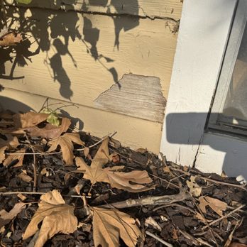 Nice and Fast Painters - More paint chipping - Painters Near Me