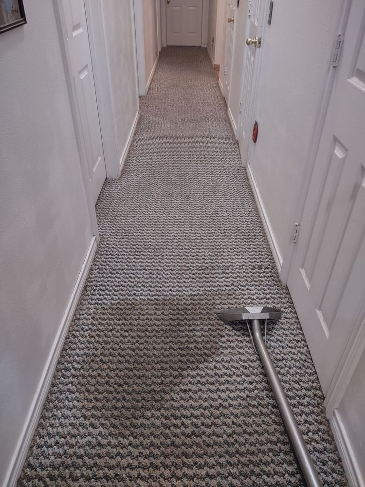 A AFFORDABLE CARPET CLEANING Updated September 2024 40 Photos 67