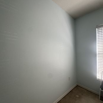 Shark Painting Services - Painters Near Me - Orlando, Florida Shark Painting Services - Painters Near Me - Orlando, Florida