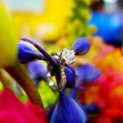 Bishop's Jewelry Gallery - Engagement Ring Available in Rose Gold, Yellow Gold, White Gold or Platinum