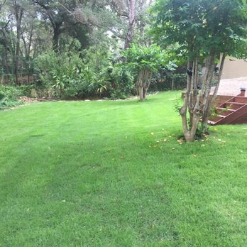 Everglades Equipment Group - This is about a week after laying the sod - Nurseries & Gardening Near Me - Orlando, Florida Everglades Equipment Group - This is about a week after laying the sod - Nurseries & Gardening Near Me - Orlando, Florida
