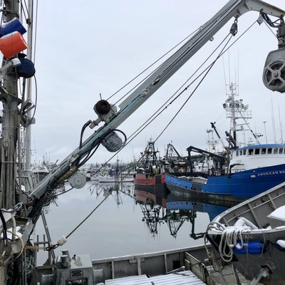 Fishermen's Terminal by null