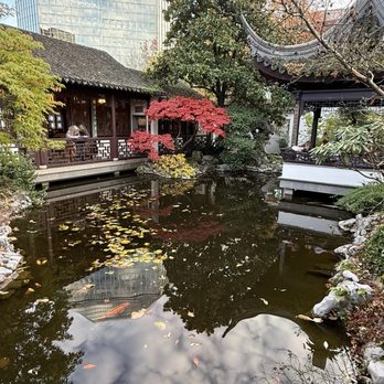 Lan Su Chinese Garden - Botanical Gardens Near Me - Portland, Oregon Lan Su Chinese Garden - Botanical Gardens Near Me - Portland, Oregon