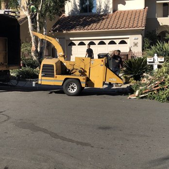 AMDM Tree Service - Landscaping Near Me - Anaheim, California