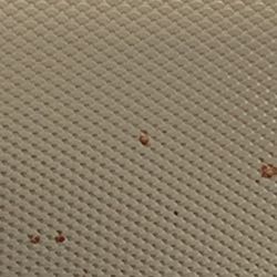 McKenzie-Williamette Medical Center Emergency Department - Emergency room #5 with blood on the light fixture. Pointed it out to staff member. She said she noticed that three days ago.