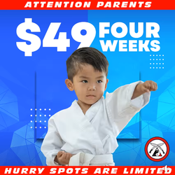 One World Karate - Always a simple monthly fee