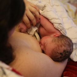 Greater Springfield Midwifery - Little Asher skin to skin with his mother right after birth. Asher was born into the water in his Springfield home.