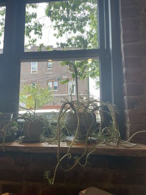 Mighty Oak Roasters by null