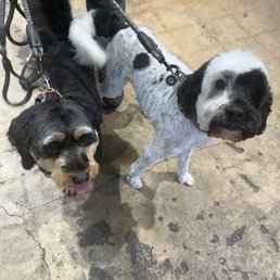 Milo and smokey!