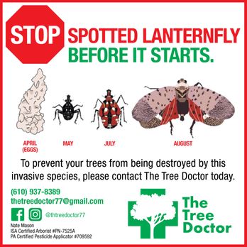 The Tree Doctor - Tree Services Near Me