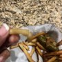 Photo of Royal's Fried Chicken