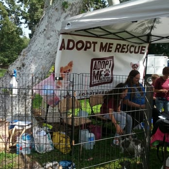 Moorpark Park - Pet Adoption - Parks Near Me - Studio City, California