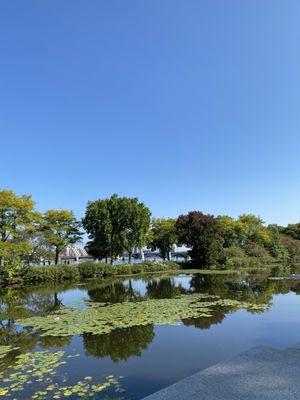 Charles River Esplanade by null