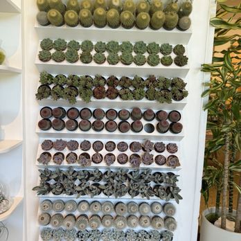 Pigment - Succulent wall - Home Decor Near Me - San Diego, California Pigment - Succulent wall - Home Decor Near Me - San Diego, California