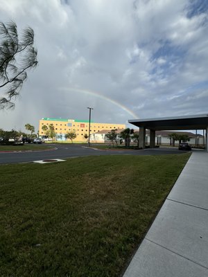 South Texas Health System Edinburg by null