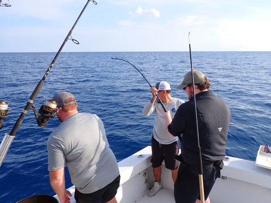 Sailors Choice Party Fishing Boat & Anglers Choice Sport Fishing private Charters by null