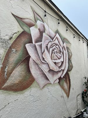 Woodrose Cafe by null