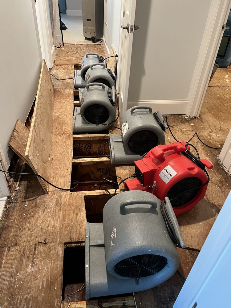 Slide of Scavello Restoration