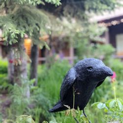 Laughing Horse Lodge - Courtyard