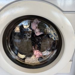 Big Y Laundry Services
