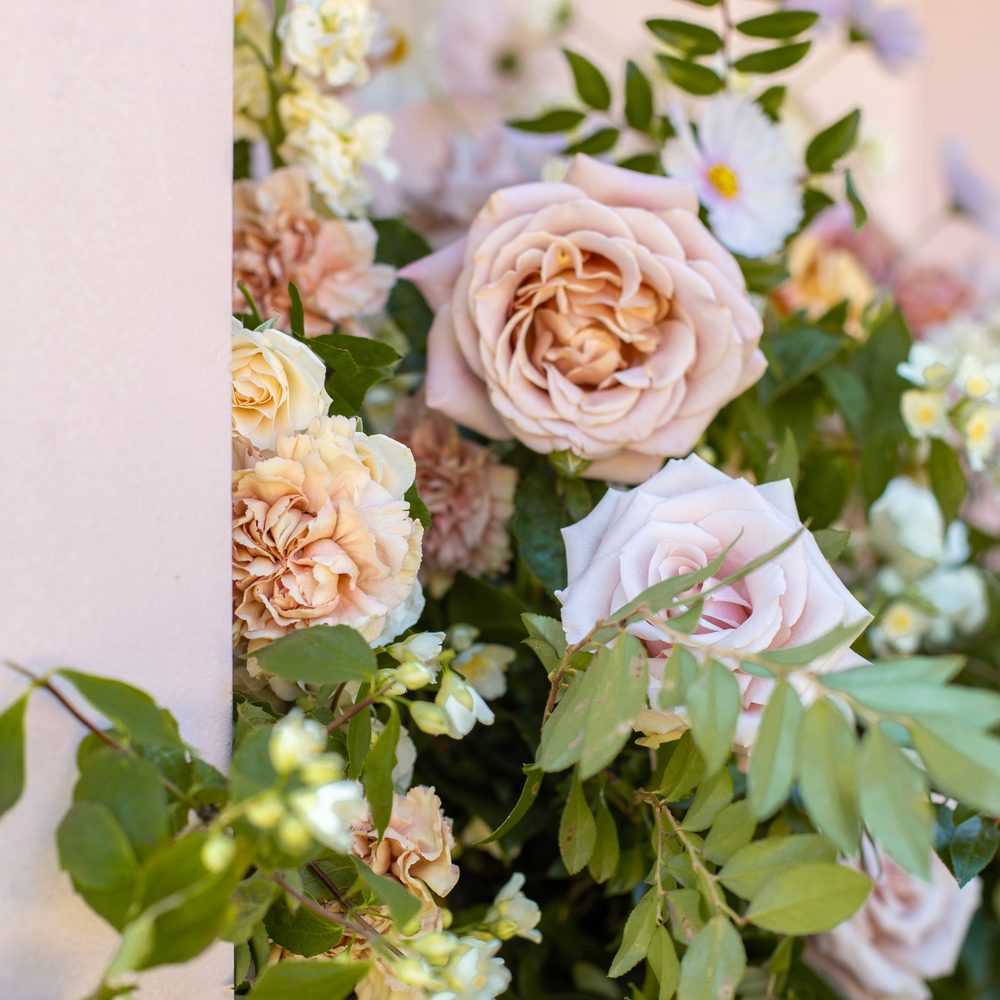 Le Champagne Projects - Florists Near Me Le Champagne Projects - Florists Near Me