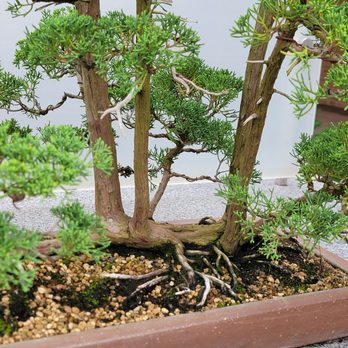 Chicago Botanic Garden - Botanical Gardens Near Me - Glencoe, Illinois