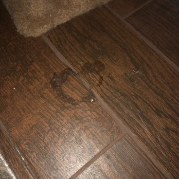 Well-Paid Maids - Dried cat vomit on master floor - Home Cleaning Near Me