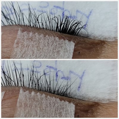 Virtue Lash by null
