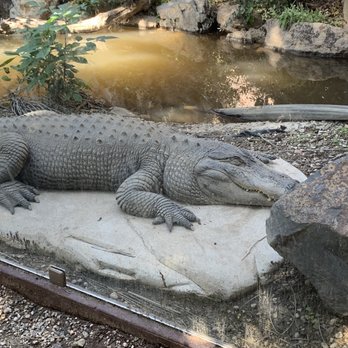 Wildlife Learning Center - Zoos Near Me - Sylmar, California