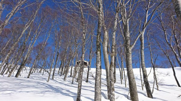 Muikamachi Hakkaisan Ski by null