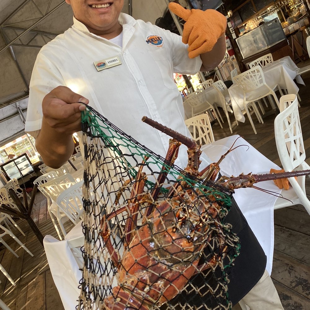 4.2 kg Caribbean lobster, MP $289 American dollar