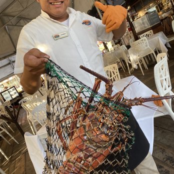 Muelle 7 - 4.2 kg Caribbean lobster, MP $289 American dollar - Cocktail Bars Near Me - Isla Mujeres, ROO