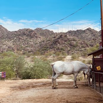 Ponderosa Stables - Horseback Riding Near Me - Phoenix, Arizona