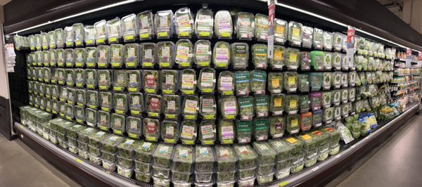 Whole Foods Market by null