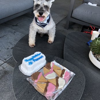 Redondo Dog - Pepper's birthday cake - Pet Services Near Me - Carson, California Redondo Dog - Pepper's birthday cake - Pet Services Near Me - Carson, California